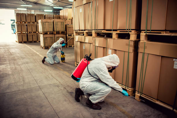Best Termite Control Services  in East Quincy, CA