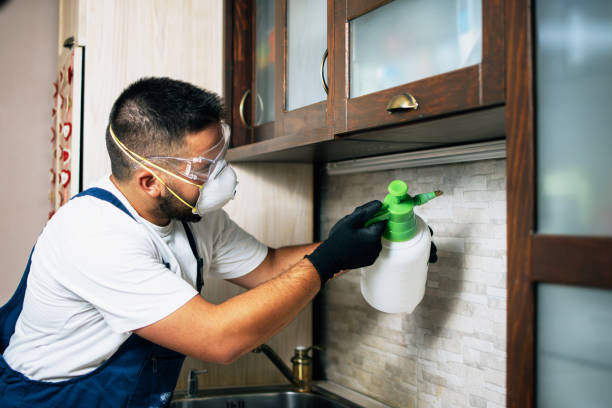 Professional Pest Control in East Quincy, CA