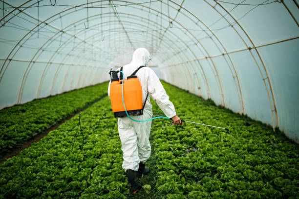 Best Pest Control Near Me  in East Quincy, CA