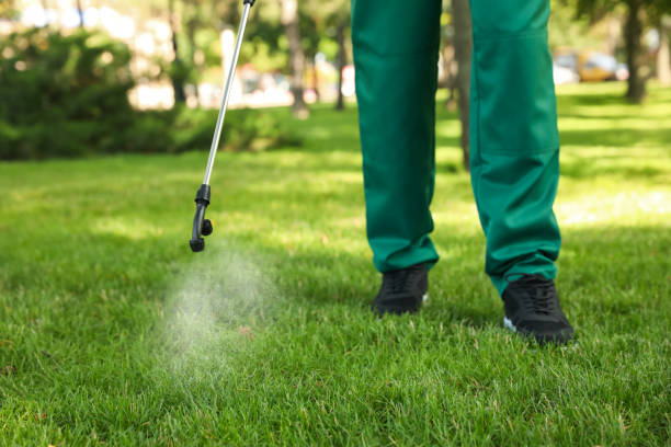 Best Cockroach Control Services  in East Quincy, CA