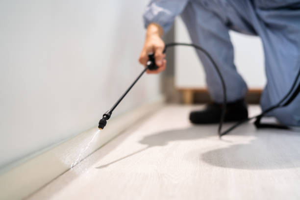 Best Insect Control  in East Quincy, CA