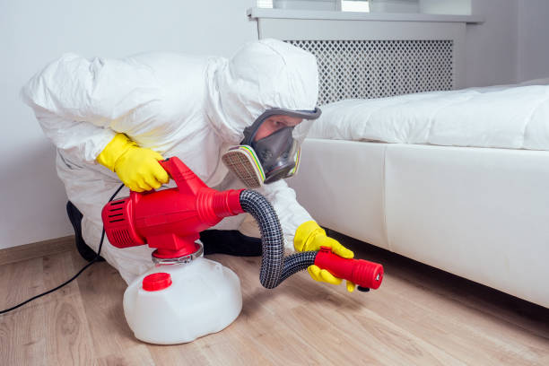 Best Rat Extermination Near Me  in East Quincy, CA