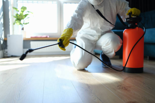 Best Pest Removal Services  in East Quincy, CA