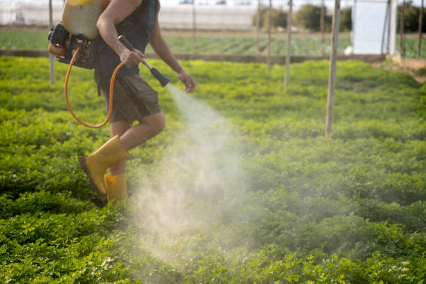 Best Wildlife Control Services  in East Quincy, CA