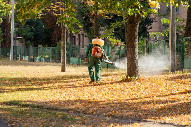 Best Local Pest Control Services  in East Quincy, CA
