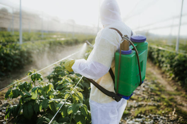 Best Flea Control Services  in East Quincy, CA